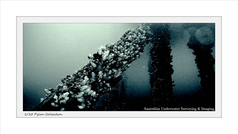  Darkside Frame   ROV imaging art gallery