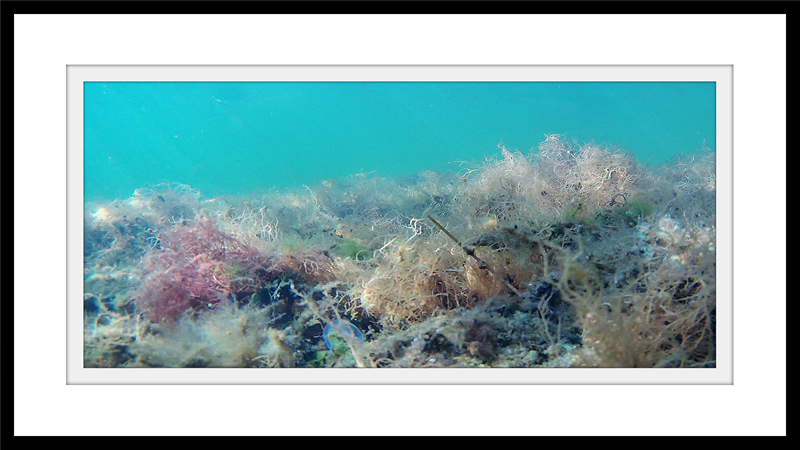 ROV imaging art gallery1