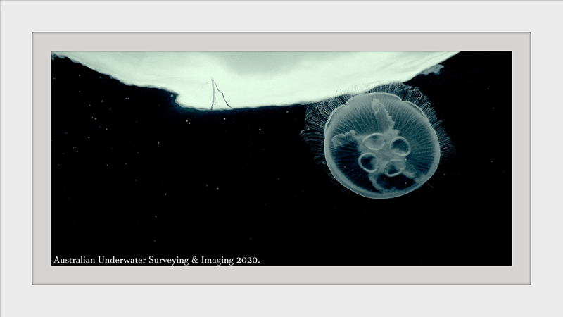 ROV imaging art gallery4